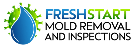 fresh start mold removal and inspection