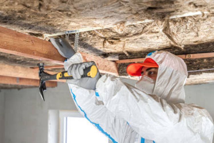 Removing Mold from Walls
