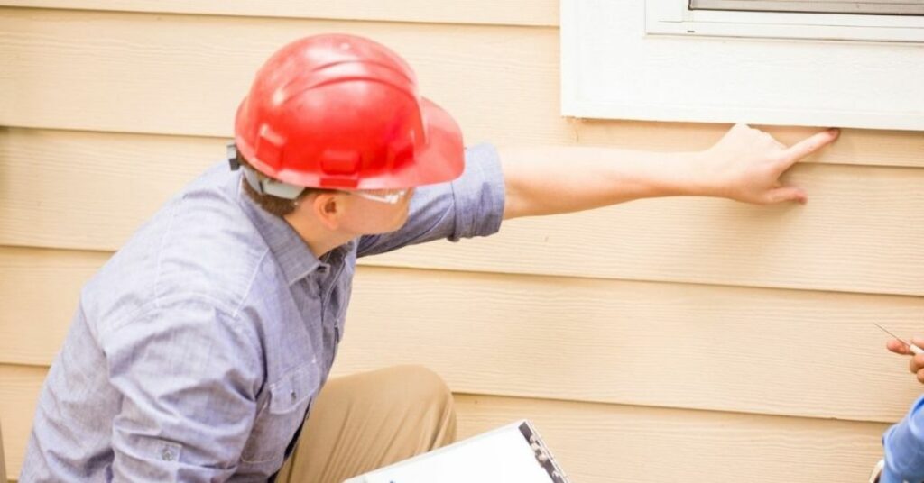 How Much Does a Mold Inspection Cost
