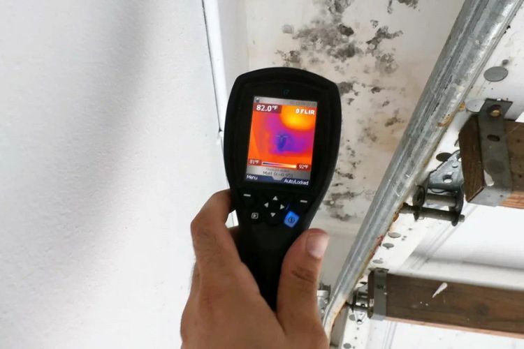 Mold Inspection And Testing Cost