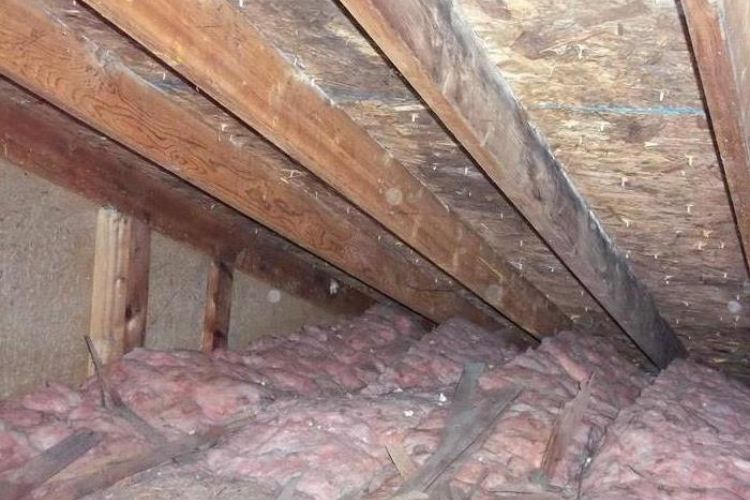 Remove mold from the attic