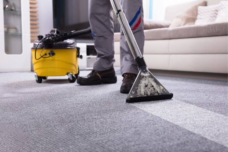 carpet cleaning mold removal